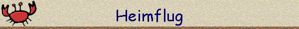 Heimflug